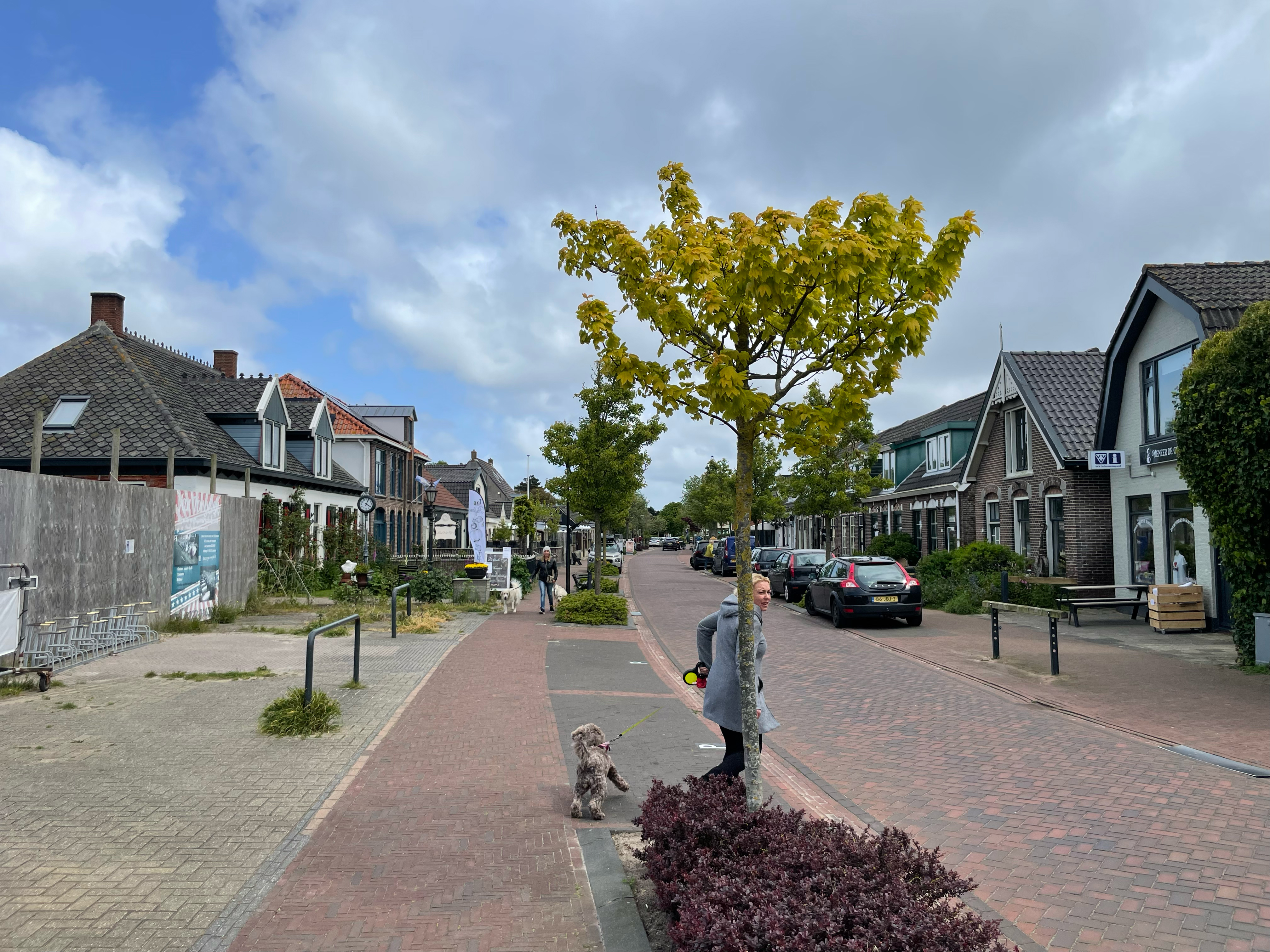 De Cocksdorp